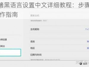 PS4暗黑语言设置中文详细教程：步骤解析与操作指南