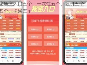 神秘通道入口五个，一次性五个，随机五个，可爱五个，卡通五个