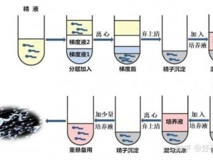 肉丝脚的取精技巧与技巧——高纯度浓缩型精子提取液