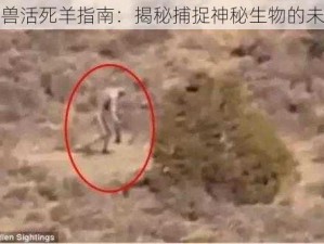 磁带怪兽活死羊指南：揭秘捕捉神秘生物的未知方法