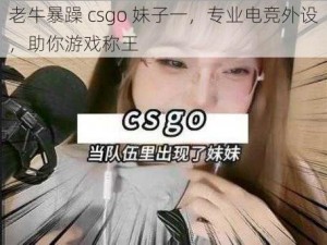 老牛暴躁 csgo 妹子一，专业电竞外设，助你游戏称王