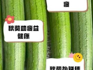 绿色健康的草莓、丝瓜、榴莲和绿巨人 WWW，营养丰富，口感鲜美