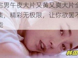 宅男午夜大片又黄又爽大片全集，精彩无极限，让你欲罢不能