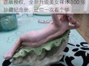 正版授权，全新升级美女裸体 100 张珍藏纪念册，让你一次看个够