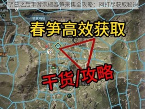 明日之后手游泡椒春笋采集全攻略：网打尽获取秘诀