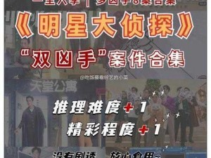 无敌大侦探：案件解密第13关终极攻略宝典揭秘探索之路