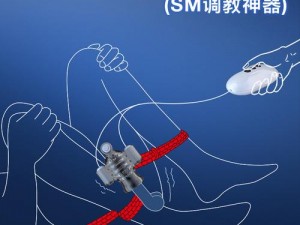 男男少年乖 h 调教跪趴 sm 视频：日本进口情趣用品，满足你的私密需求