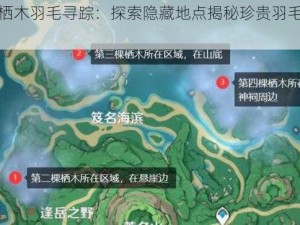 原神栖木羽毛寻踪：探索隐藏地点揭秘珍贵羽毛位置之旅