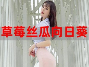 丝瓜秋葵草莓榴莲污 18 免费破解：热门成人用品，带来全新性福体验