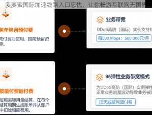 菠萝蜜国际加速线路入口忘忧，让你畅游互联网无国界