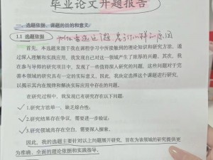 沈佳坤论文：关于 XX 的研究与分析