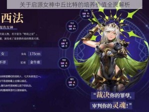 关于启源女神中丘比特的培养价值全面解析