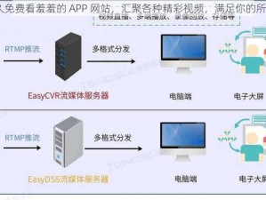 51 永久免费看羞羞的 APP 网站，汇聚各种精彩视频，满足你的所有需求