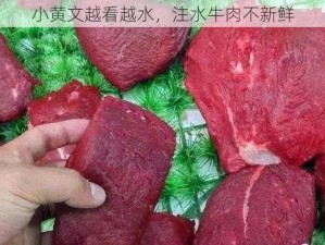 小黄文越看越水，注水牛肉不新鲜