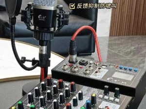 JMCicon30mic 高品质电容麦克风，专业录音直播降噪通用