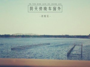 抖音流行歌曲揭秘：阴天傍晚车窗外歌曲大全，令人心醉的经典旋律盘点