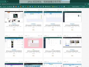 JAVa 成品网站，视频直播应有尽有