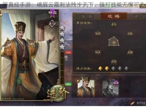 阴真经手游：峨眉云霞刺法独步天下，强打技能无懈可击