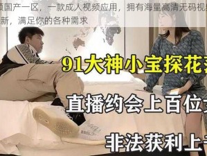 91 视频国产一区，一款成人视频应用，拥有海量高清无码视频资源，每日更新，满足你的各种需求