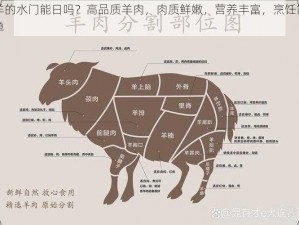 羊的水门能日吗？高品质羊肉，肉质鲜嫩，营养丰富，烹饪简单