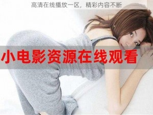 高清在线播放一区，精彩内容不断