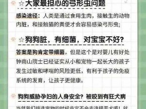 全民养宠物电脑版下载与安装指南：步骤详解及下载链接全攻略