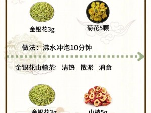 双管齐下 TXl 金银花，清热解毒、消暑除烦的优质饮品