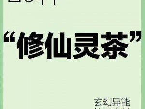 云端寒门修士修仙成长攻略：修炼心得与技巧分享