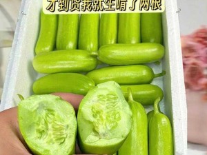 日本进口水果黄瓜，新鲜采摘，口感清爽，可直接食用或制作沙拉