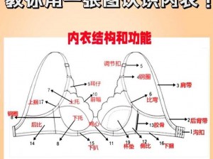 14 女情趣内衣，深入了解女性身体构造的奥秘