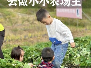 金色农场之旅：深度解析种植之乐，发现独特玩法秘籍