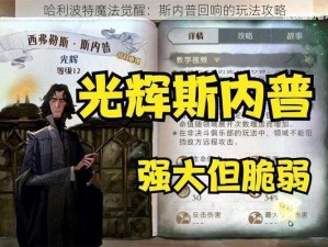 哈利波特魔法觉醒：斯内普回响的玩法攻略