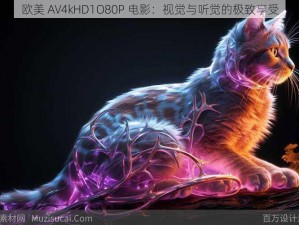 欧美 AV4kHD1O80P 电影：视觉与听觉的极致享受