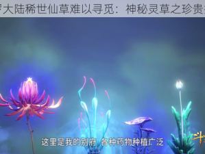 斗罗大陆稀世仙草难以寻觅：神秘灵草之珍贵探寻