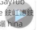 GayTube 鉂屸潓鉂孋 hina 多功能视频播放软件，支持多种格式视频播放