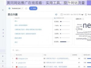 黄冈网站推广在线观看：实用工具，提升网站流量