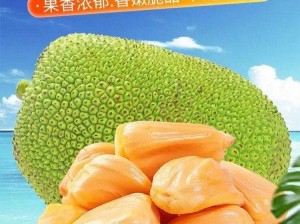 菠萝菠萝蜜高清直播免费观看，带你畅享视觉盛宴