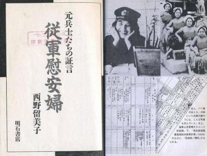 日本公妇理论 A 片：一款探索日本婚姻制度与性观念的成人影片