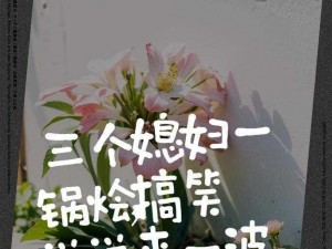 三个媳妇一锅烩全文免费阅读：火辣婆媳大乱斗，伦理大戏嗨翻天