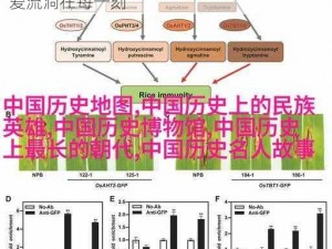 美满天伦交响曲 1—10，家庭温馨必备，让爱流淌在每一刻