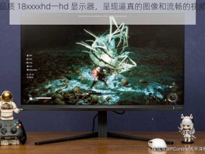 高品质 18xxxxhd一hd 显示器，呈现逼真的图像和流畅的视频体验