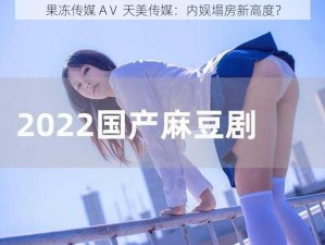 果冻传媒 AⅤ 天美传媒：内娱塌房新高度？