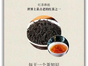 《本茶纲目：探秘正山小种的历史与魅力》