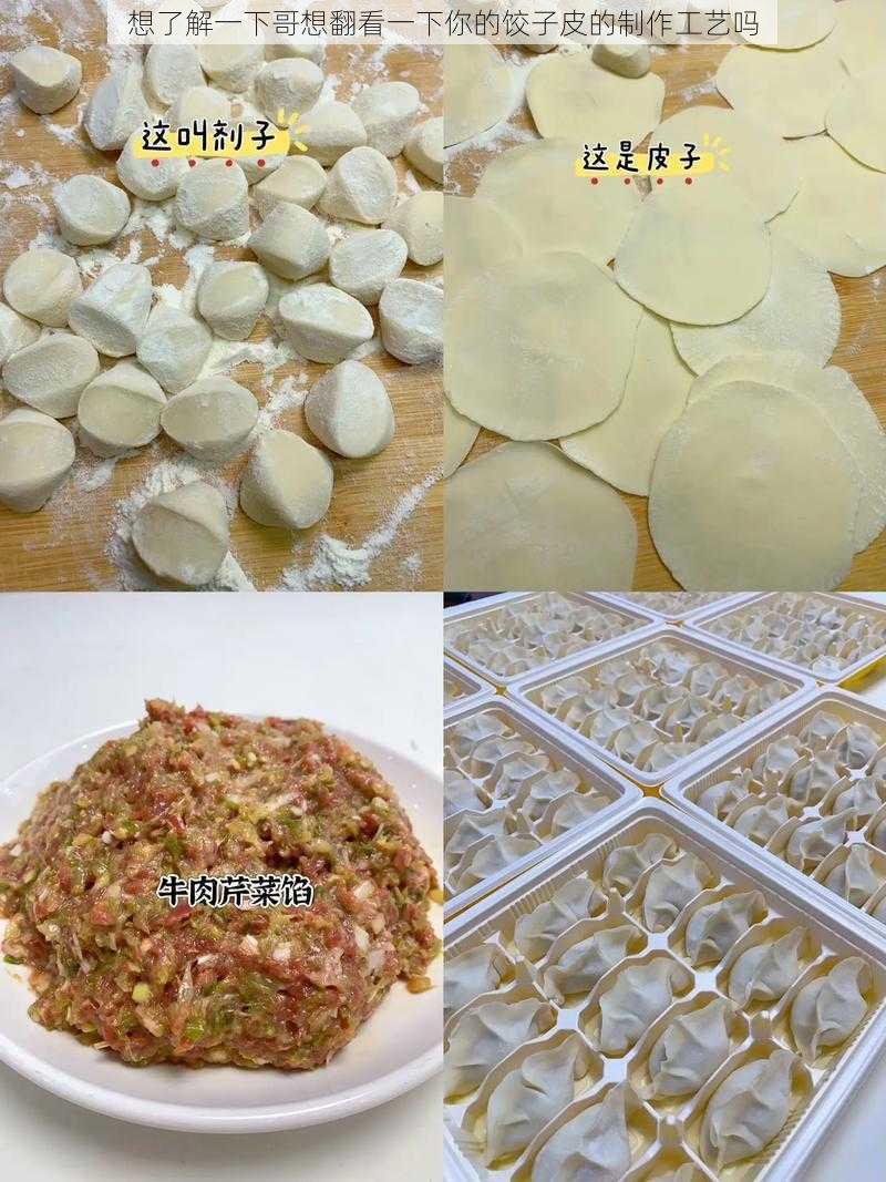 想了解一下哥想翻看一下你的饺子皮的制作工艺吗