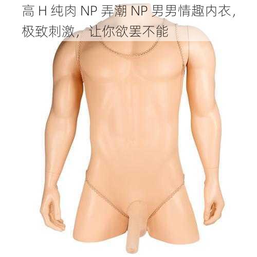 高 H 纯肉 NP 弄潮 NP 男男情趣内衣，极致刺激，让你欲罢不能