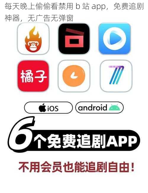 每天晚上偷偷看禁用 b 站 app，免费追剧神器，无广告无弹窗