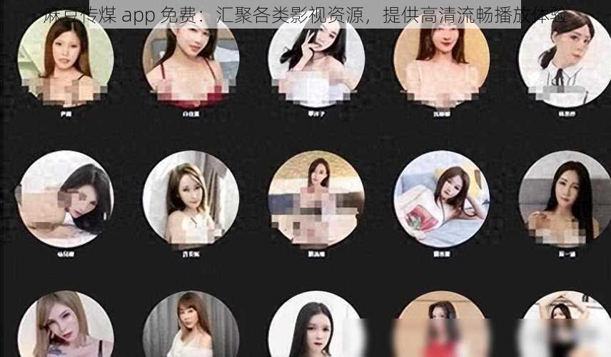 麻豆传煤 app 免费：汇聚各类影视资源，提供高清流畅播放体验