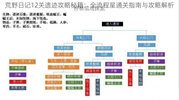 荒野日记12关遗迹攻略秘籍：全流程星通关指南与攻略解析