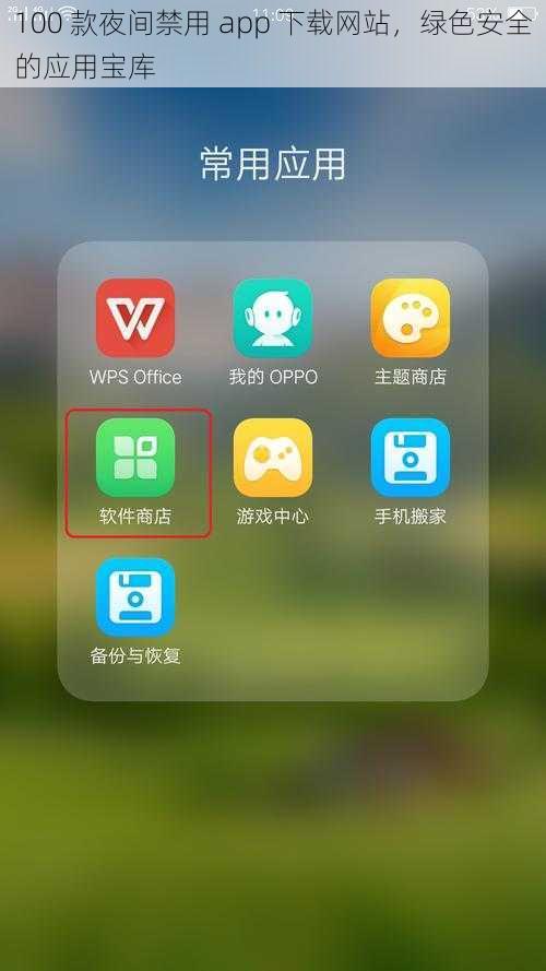 100 款夜间禁用 app 下载网站，绿色安全的应用宝库