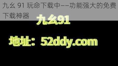 九幺 91 玩命下载中——功能强大的免费下载神器